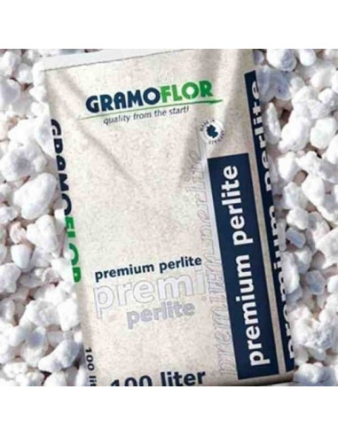 GRAMOFLOR PERLITA V13 100LT