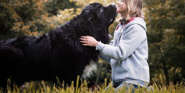 ¿CÓMO SABER SI MI PERRO ME QUIERE?