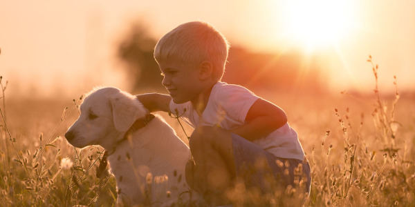 EL AMOR POR LOS ANIMALES CAMBIA EL MUNDO