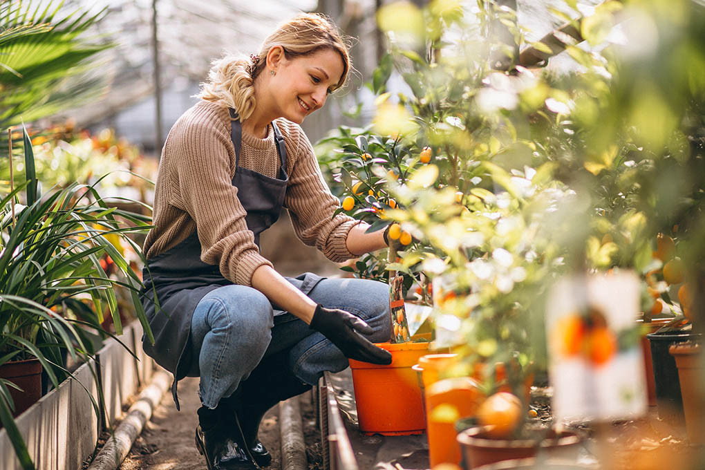 ¿Qué son los fitosanitarios ecológicos?